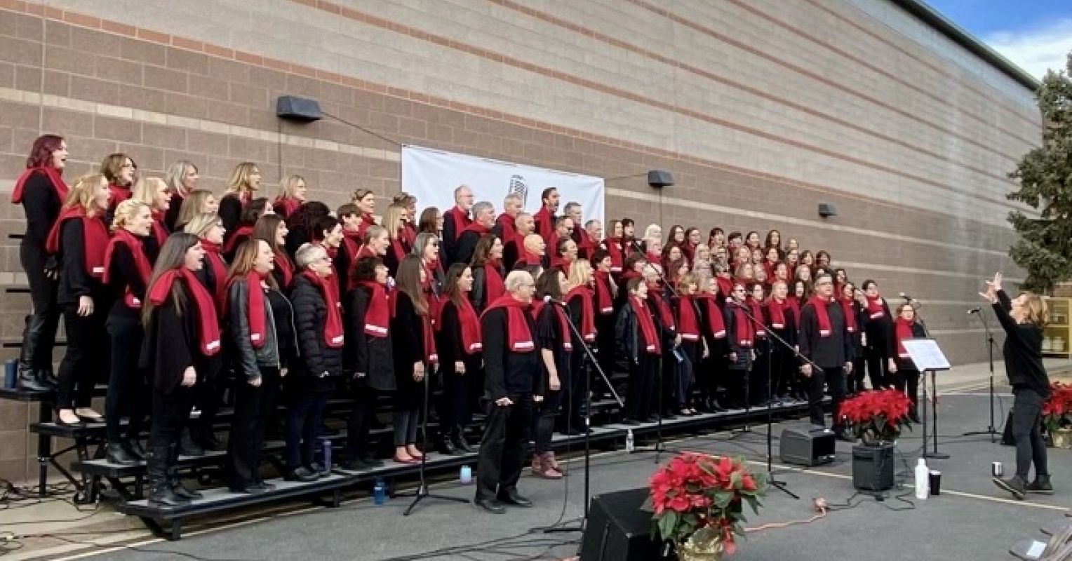 Standing with My Choir: Singing for Psychological Health