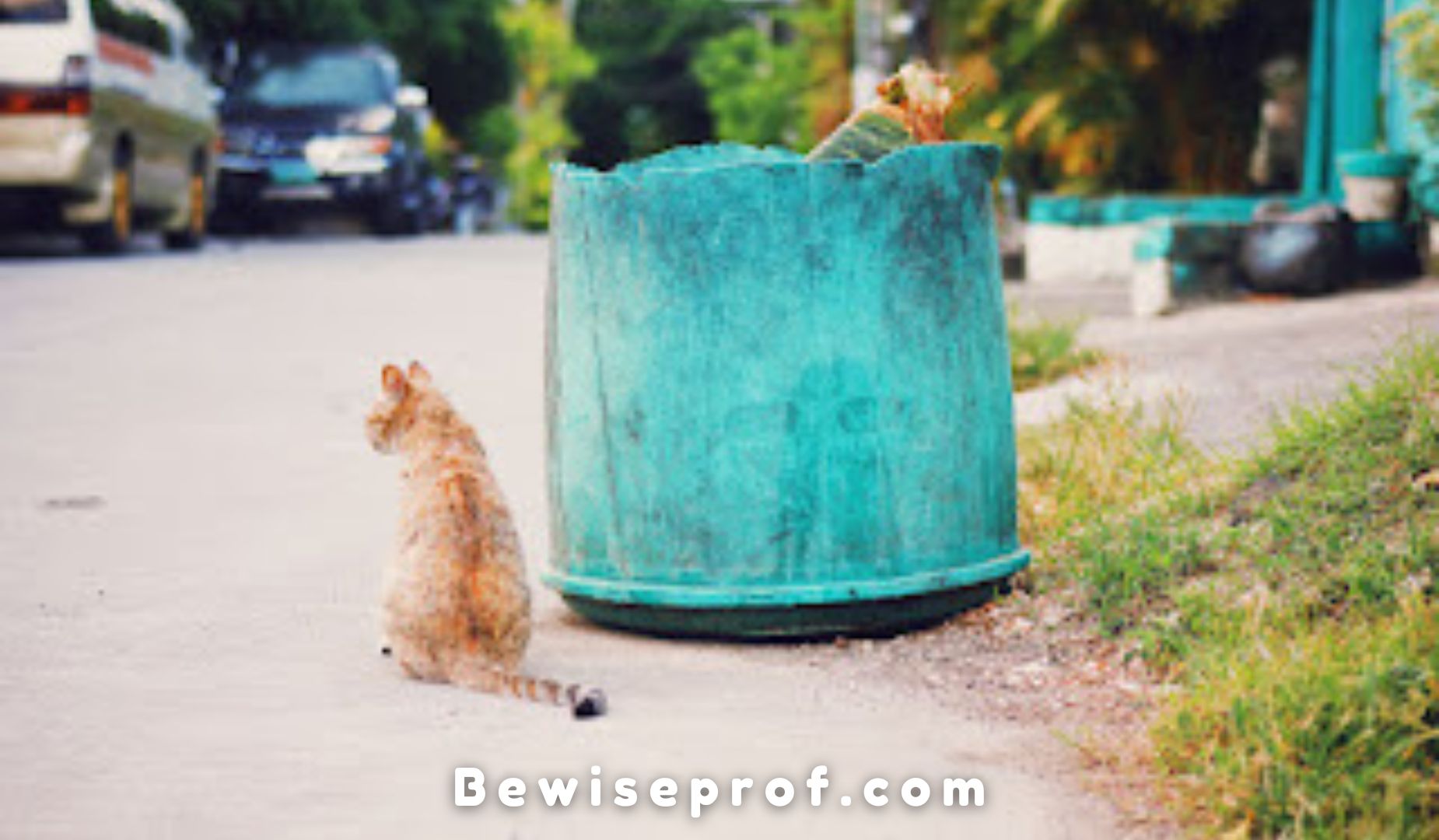 Unburdening Your Daily life: Liberating Results Of Qualified Junk Removal