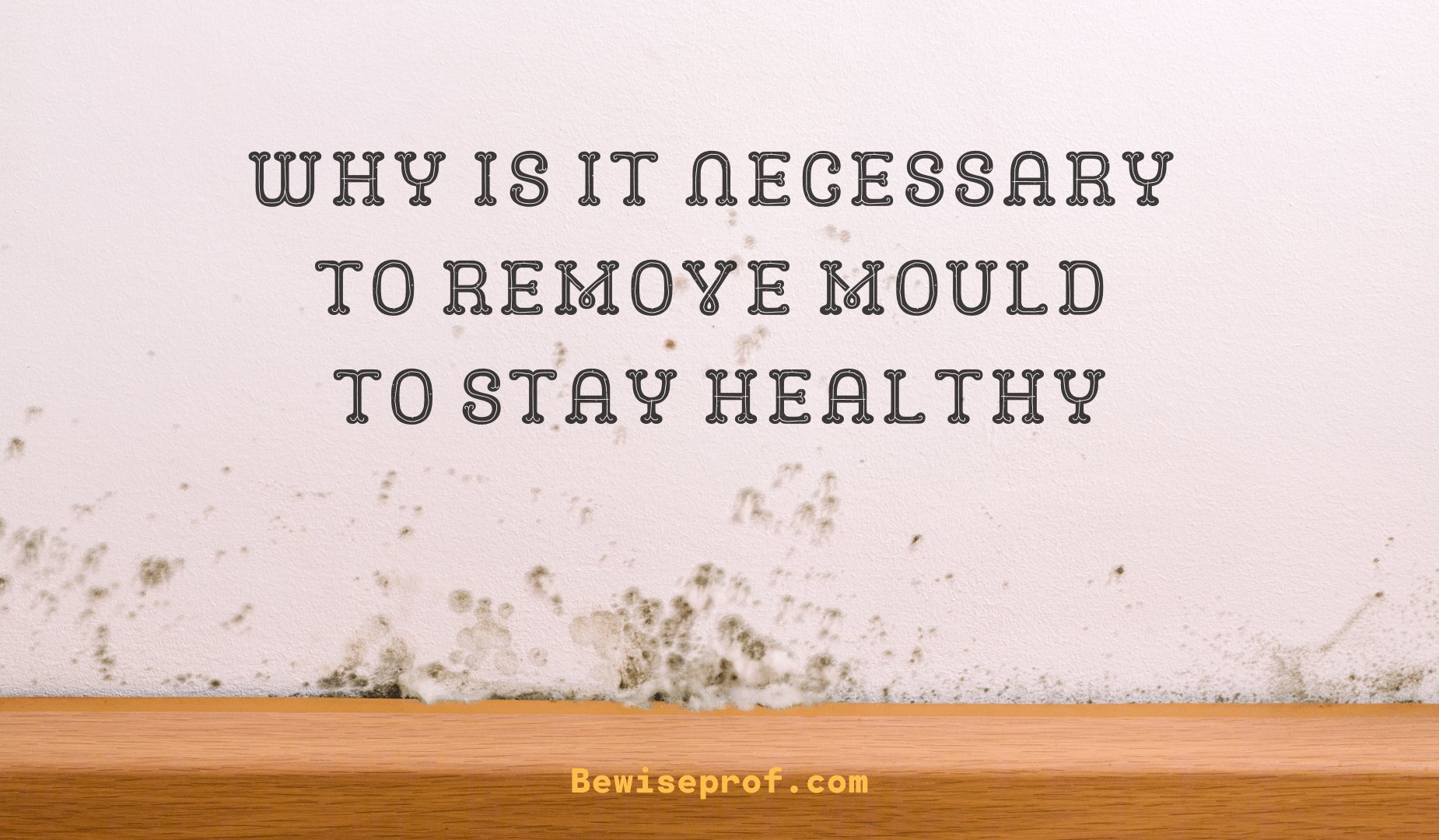 Why Is It Essential To Eliminate Mould To Remain Nutritious