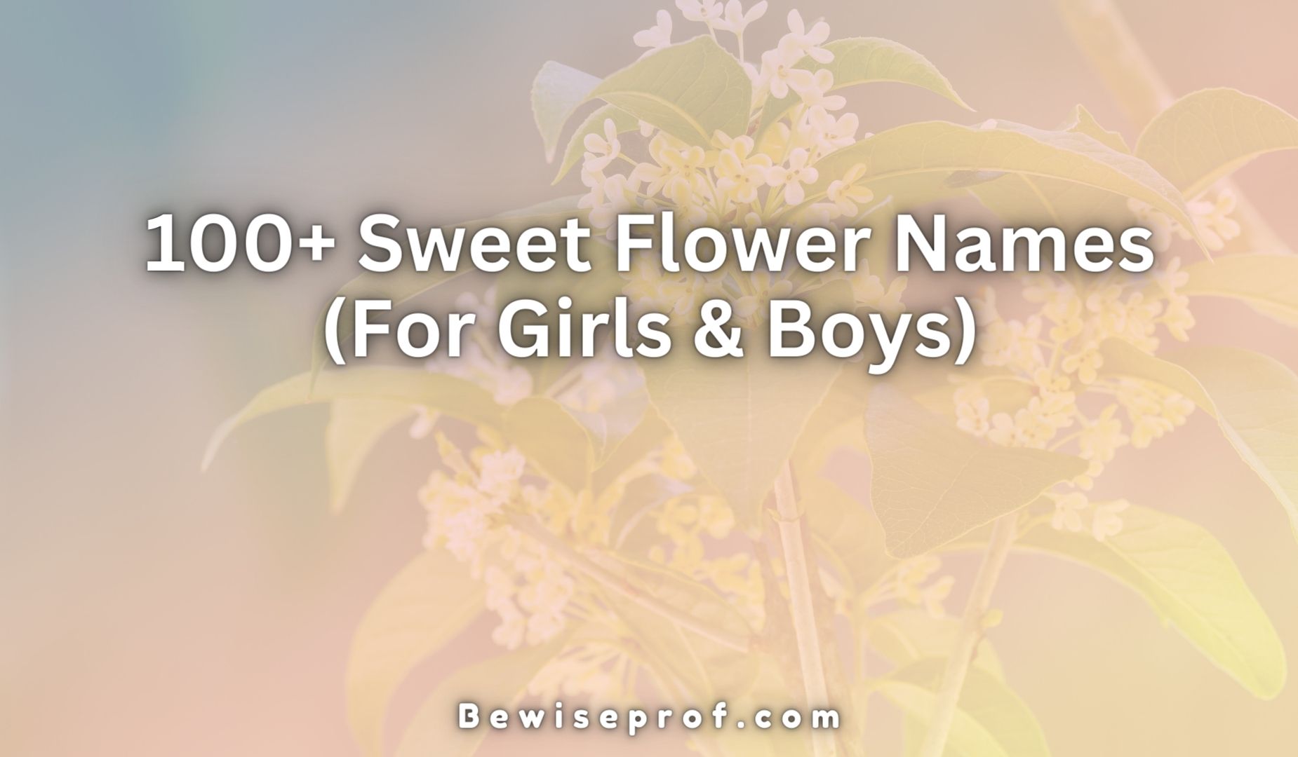 100+ Sweet Flower Names (For Girls & Boys)