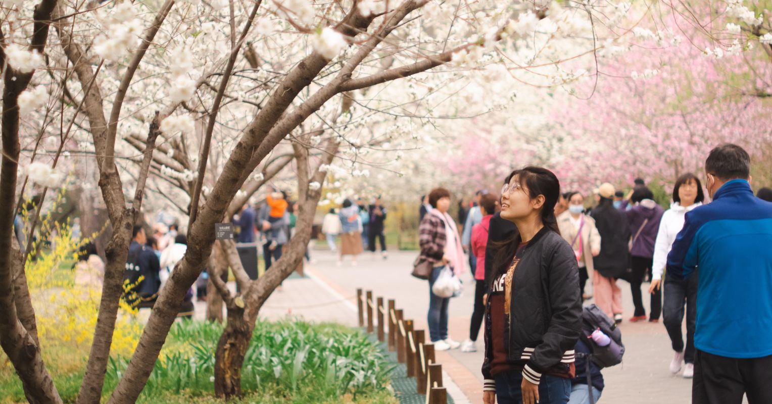 Emotion Disconnected From Other individuals? Time in Mother nature Can Assist