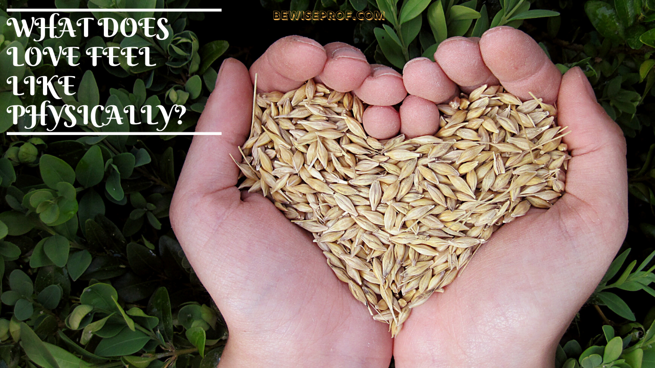 What Does Love Sense Like Bodily?