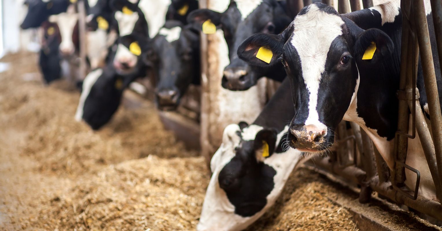 Who Does Animal Welfare Science Reward?
