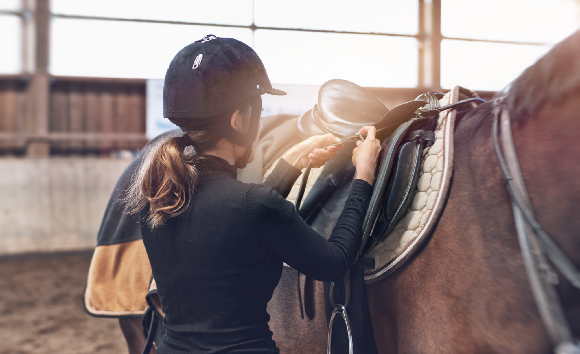 7 Reasons Horseback Using is Superior for Your Overall health
