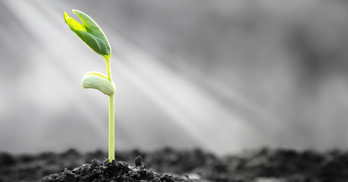 A Prayer to Produce to God’s Sanctification – Your Day by day Prayer – August 10