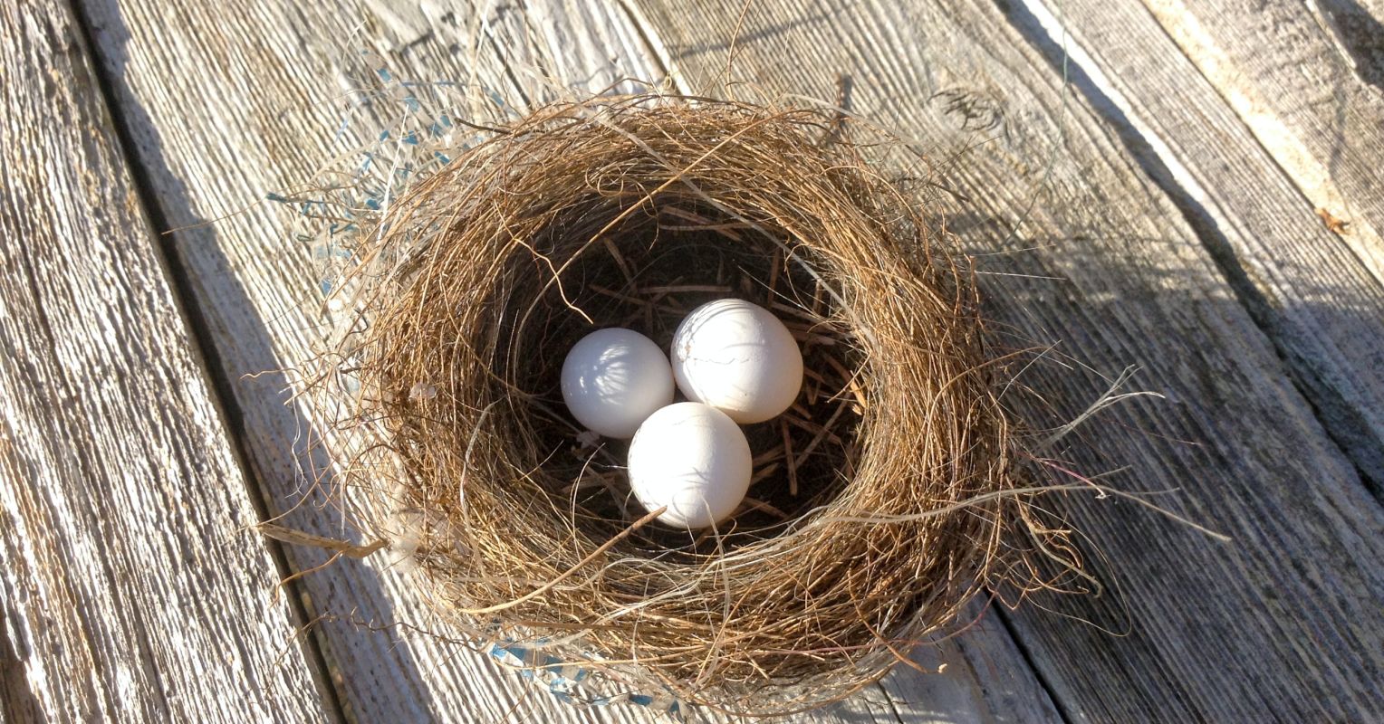 Finding Your Way in an Vacant (or Emptier) Nest