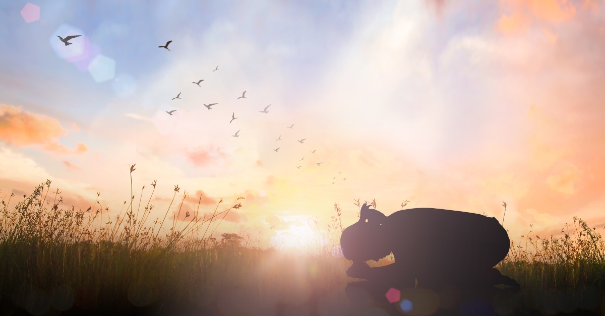 A Prayer of Dedication to Praise God – Your Everyday Prayer – October 8