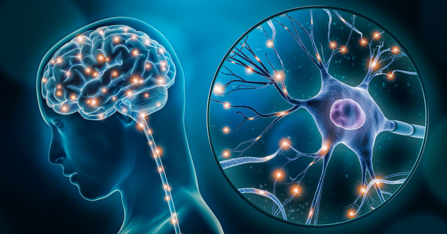 How Rogue Nerves Lead to Migraines, Again Pain, and IBS