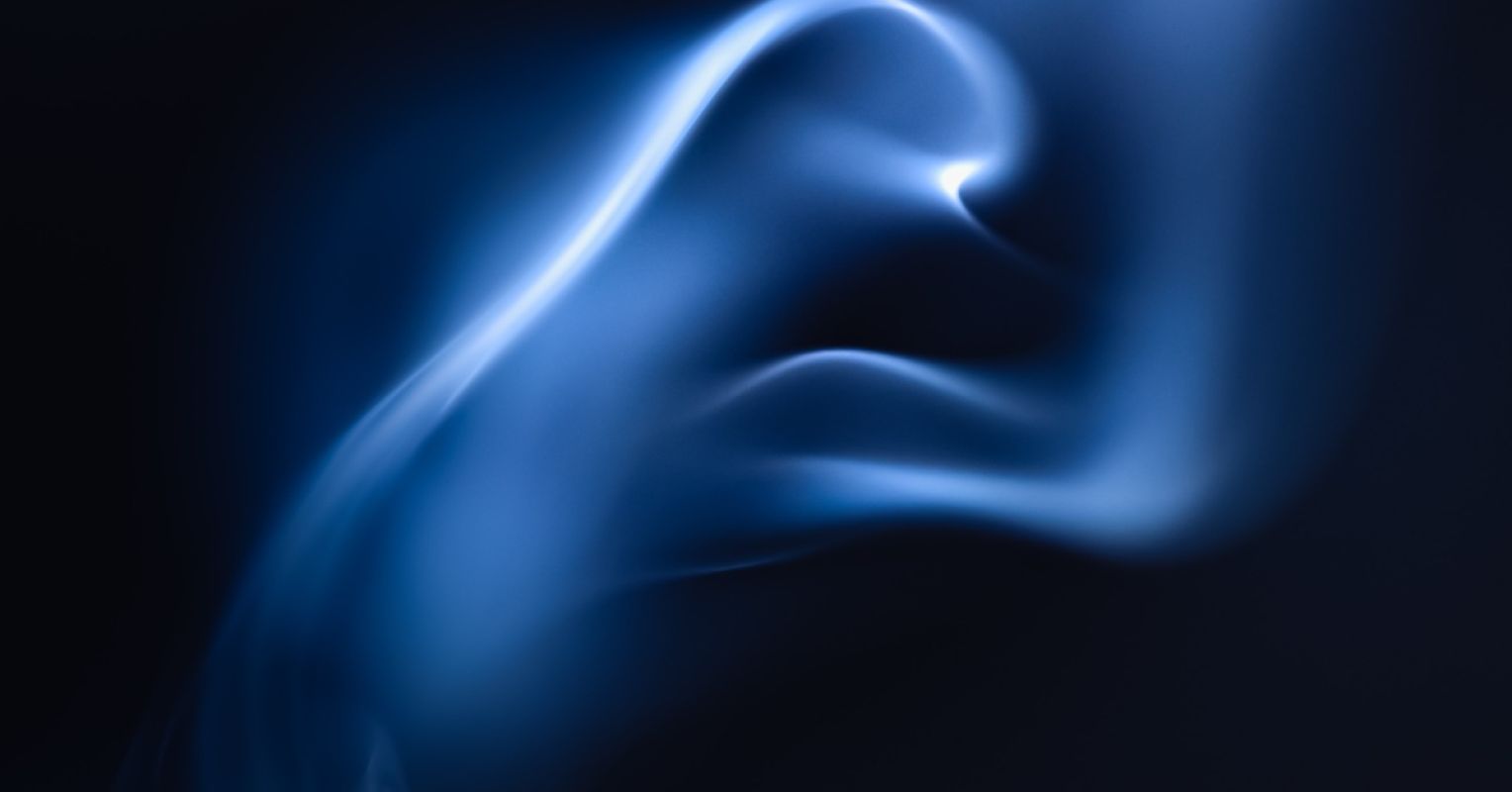Are We Ditching the Most Preferred Principle of Consciousness?