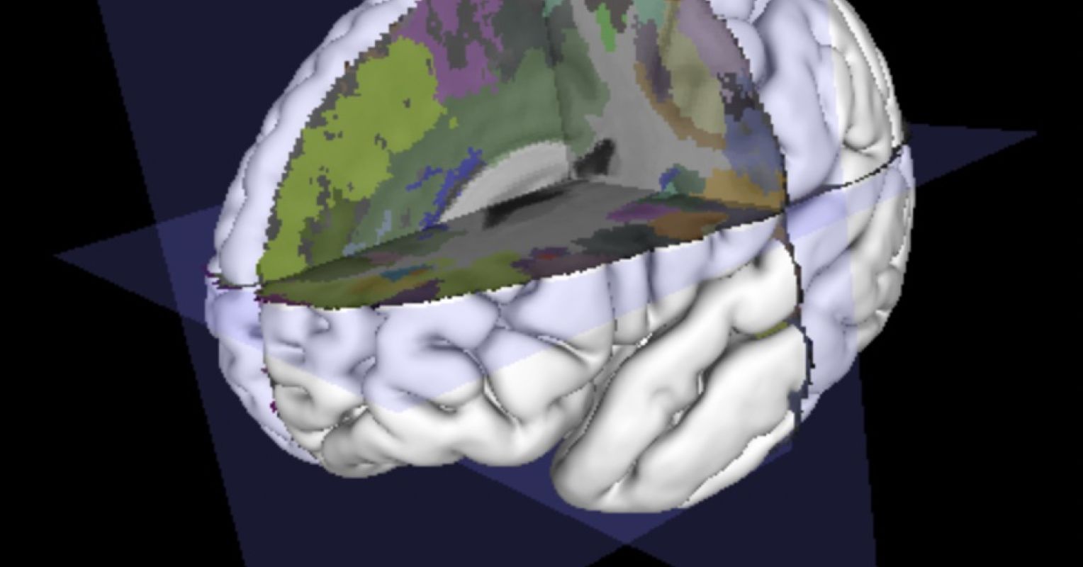 New Mind Maps Progress Comprehending, With Limits