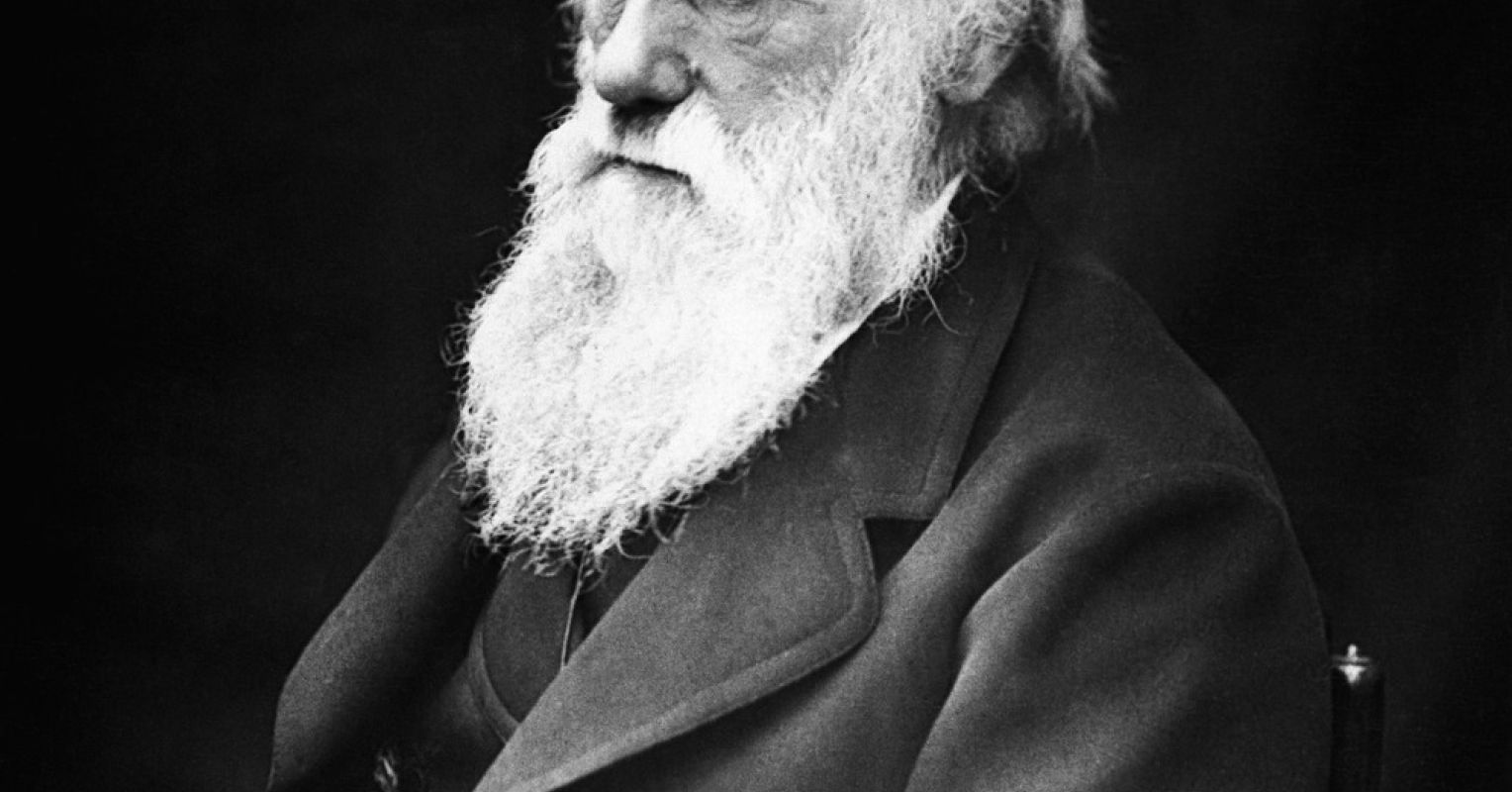 A Quick Historical past of Evolutionary Psychology