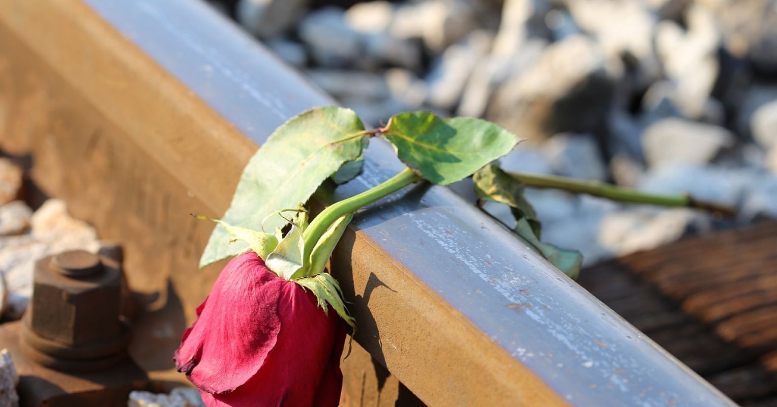 Tragic Adore: The Finest Romance and Soul-Wrenching Heartache