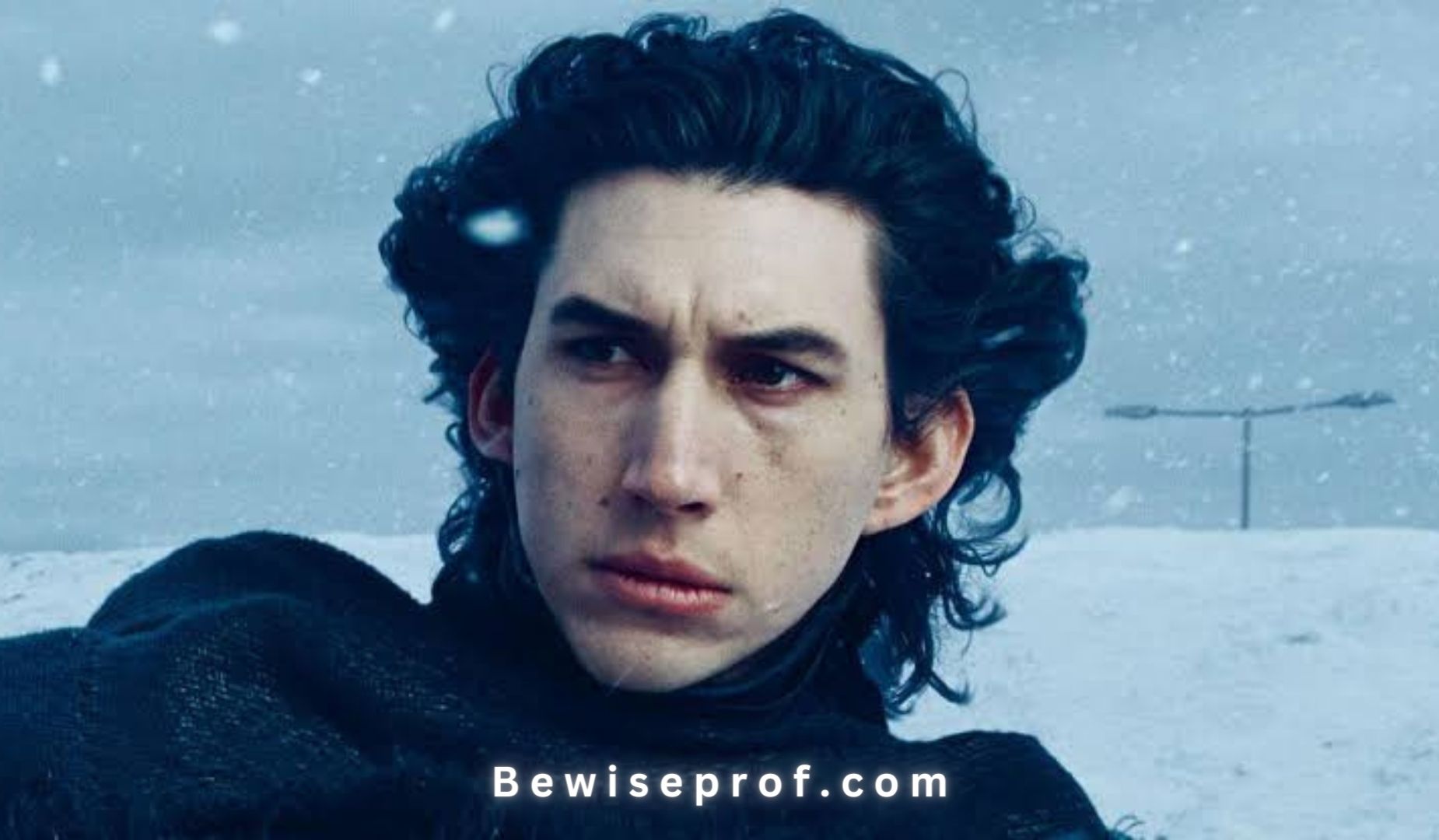 Who Are Kylo Ren’s Mom and dad?