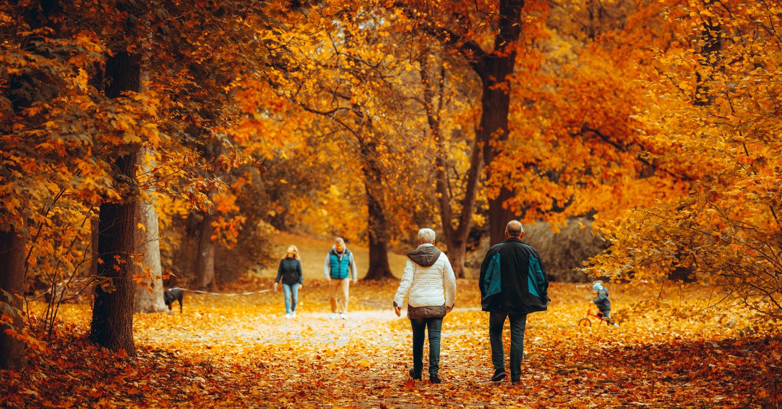 Everyday living Lengthened and Strengthened by Socialization
