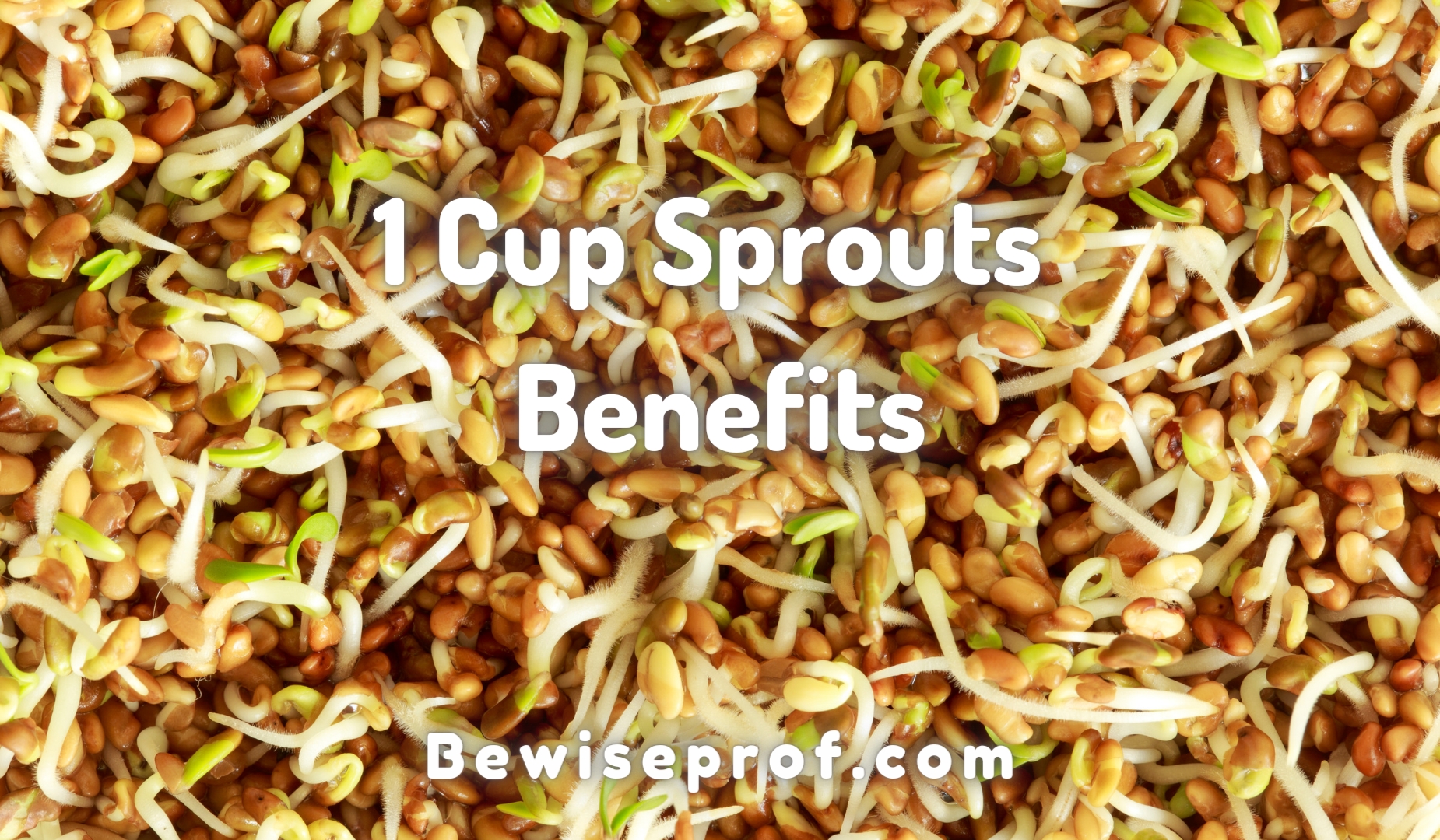 1 Cup Sprouts Benefits, Calories, Nutrition Facts You Need To Know