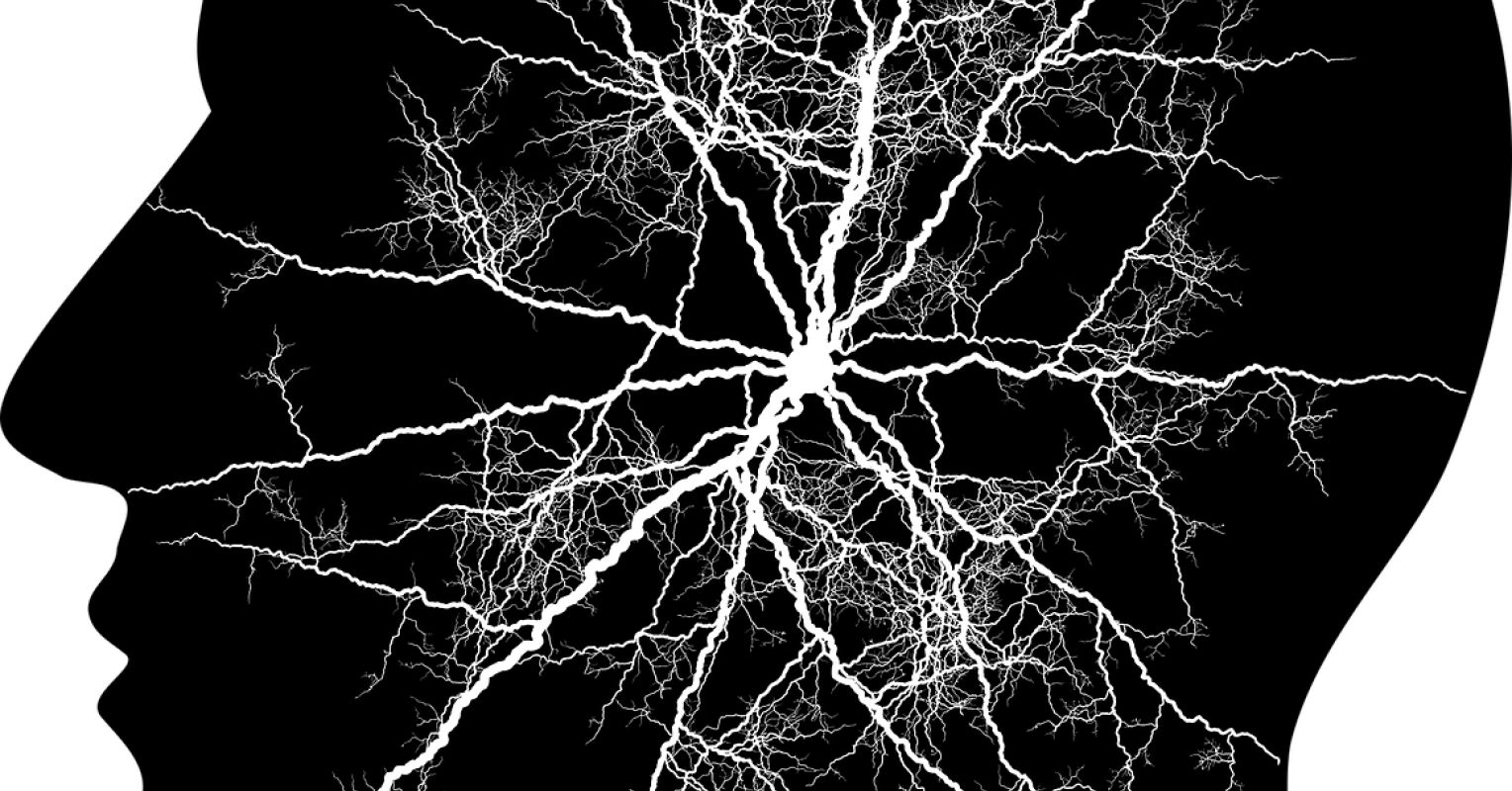 Elaborate Dynamics in Psychological Operating With Anorexia