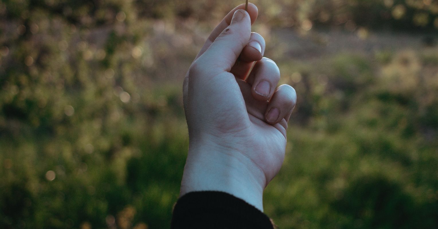 The Added benefits of Being Really Delicate