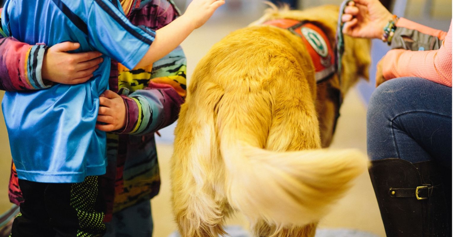 Treatment Pet dogs: The Bridge Among Persons and Therapeutic