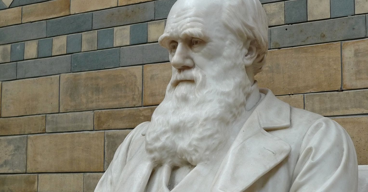 A few Hurdles to Evolution Schooling