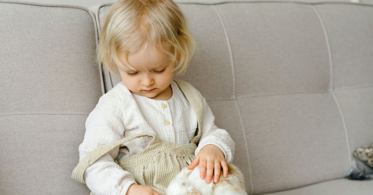 Rabbits Aren’t Low-Investment “Starter Pets”