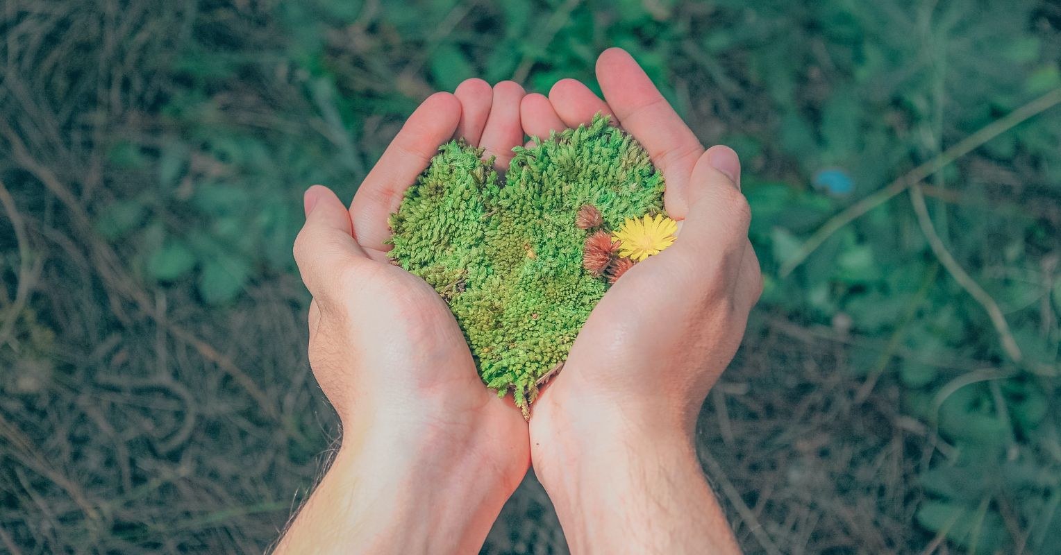 The Psychology of Local climate Improve
