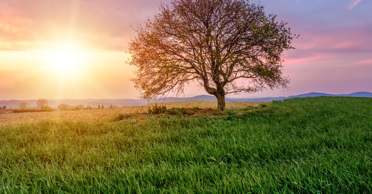 When the Wind Blows | Psychology These days Australia