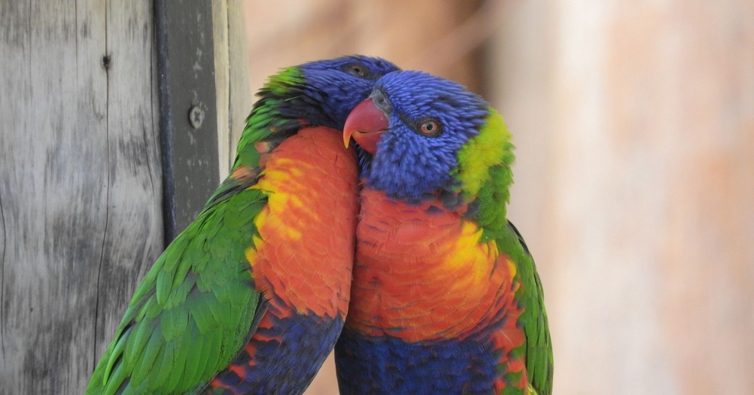 Possibly It’s Time for Your Romance Check-Up