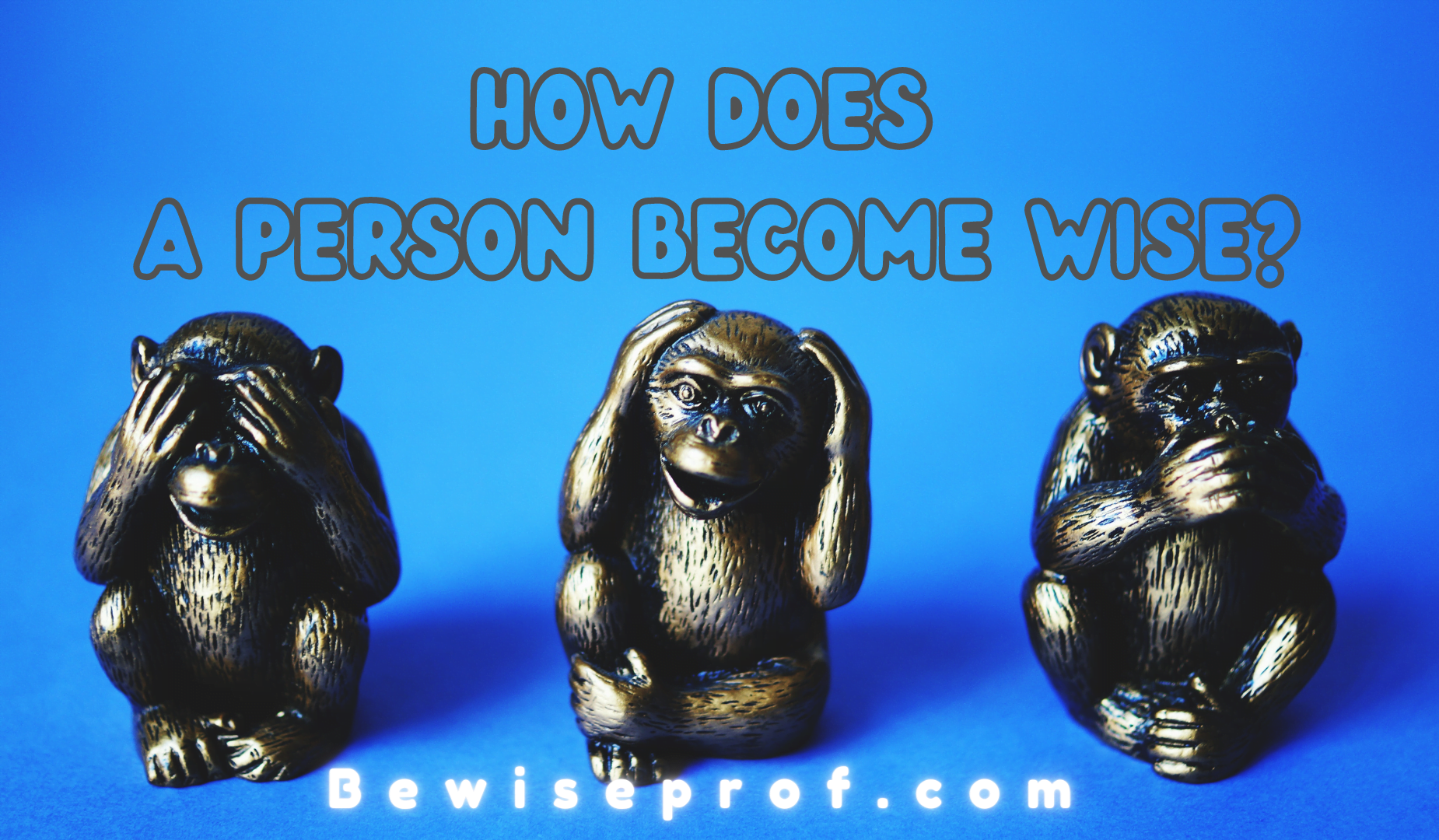 How Does A Individual Turn out to be Clever?