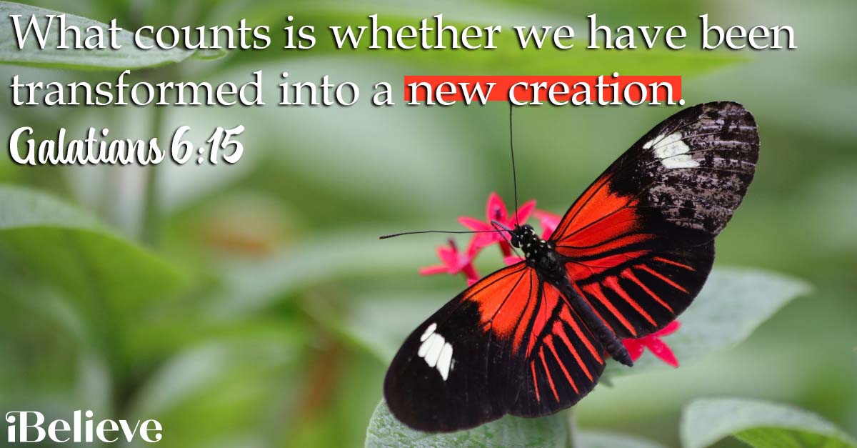 A Prayer for What Counts – Your Daily Prayer – September 17