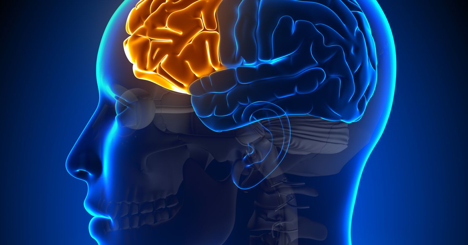 Knowledge Greater-Get Theories of Consciousness
