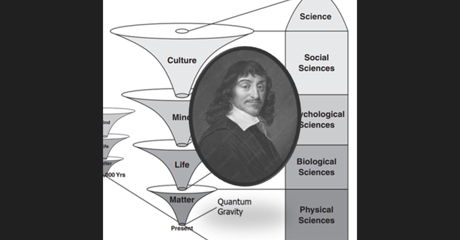 An Current Tree of Information for Philosophy and Science