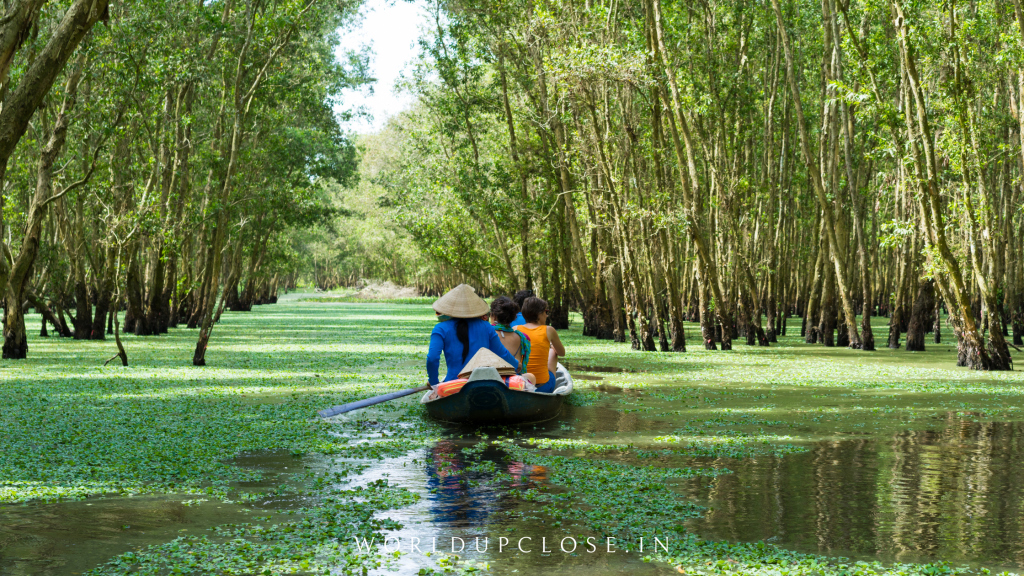 The Influence of Above-Tourism – Entire world Up Shut