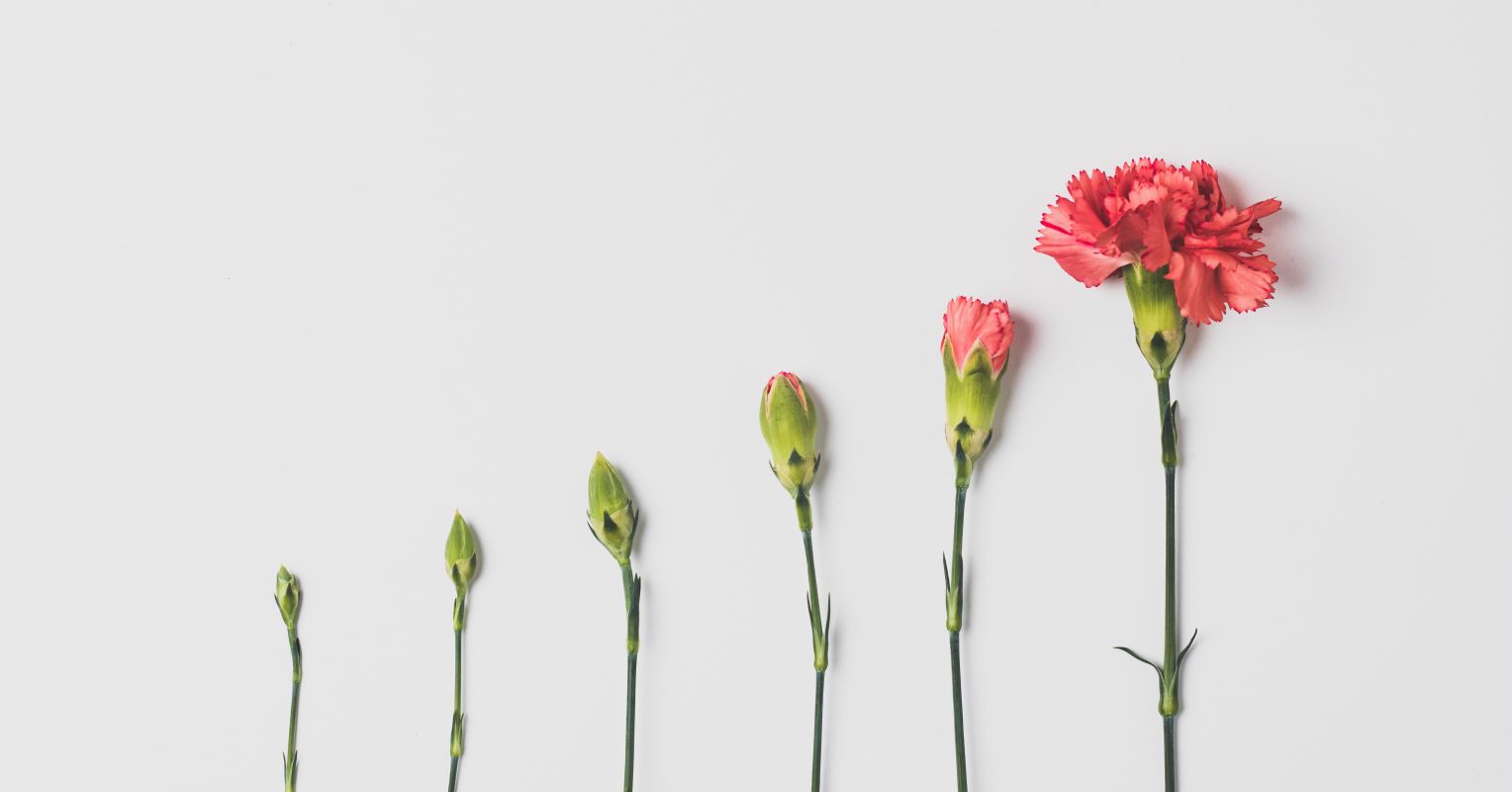 The Meaning of Progress in Psychodynamic Psychotherapy