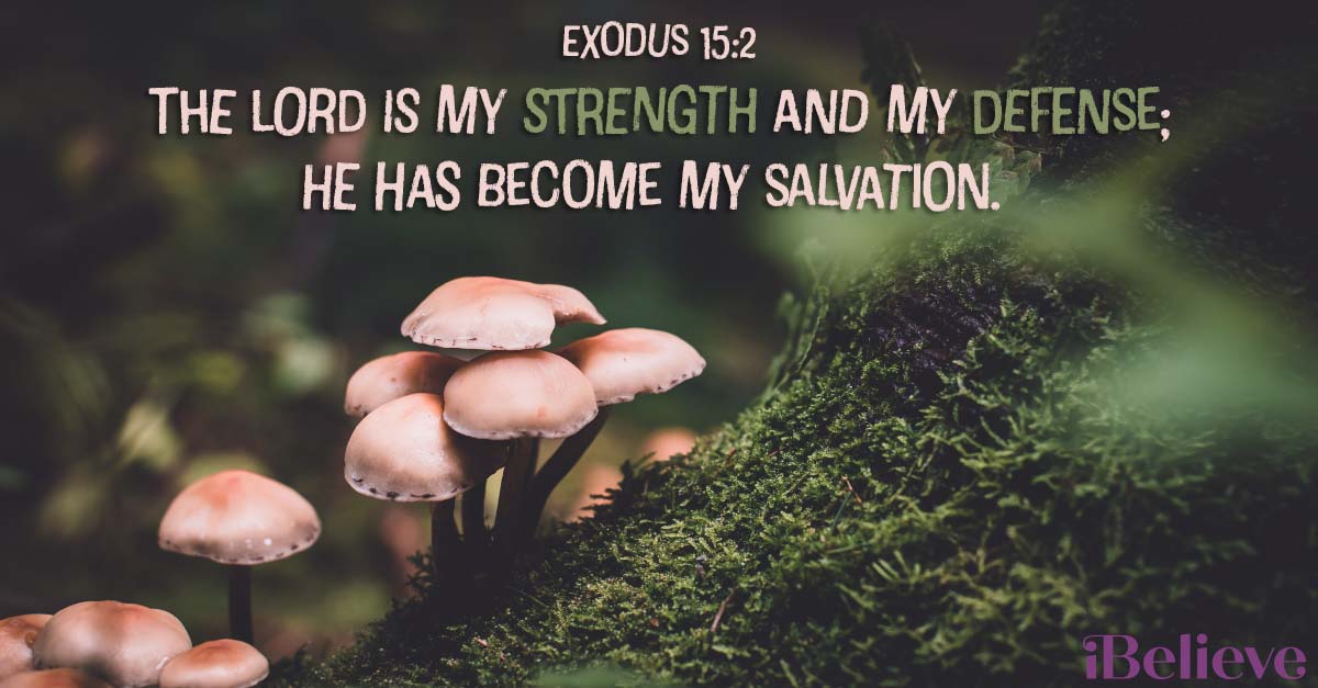 A Prayer for Energy – Your Day by day Prayer – November 15