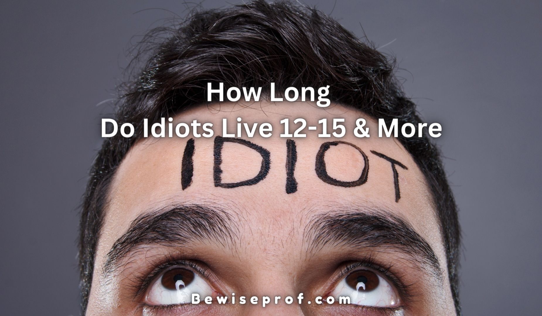 How Extensive Do Idiots Dwell 12-15 & Additional