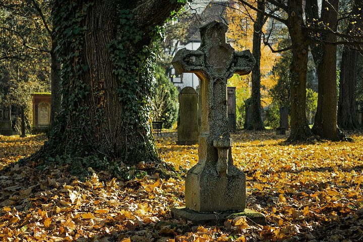 Ideal Drugs For Death – Be Sensible Professor