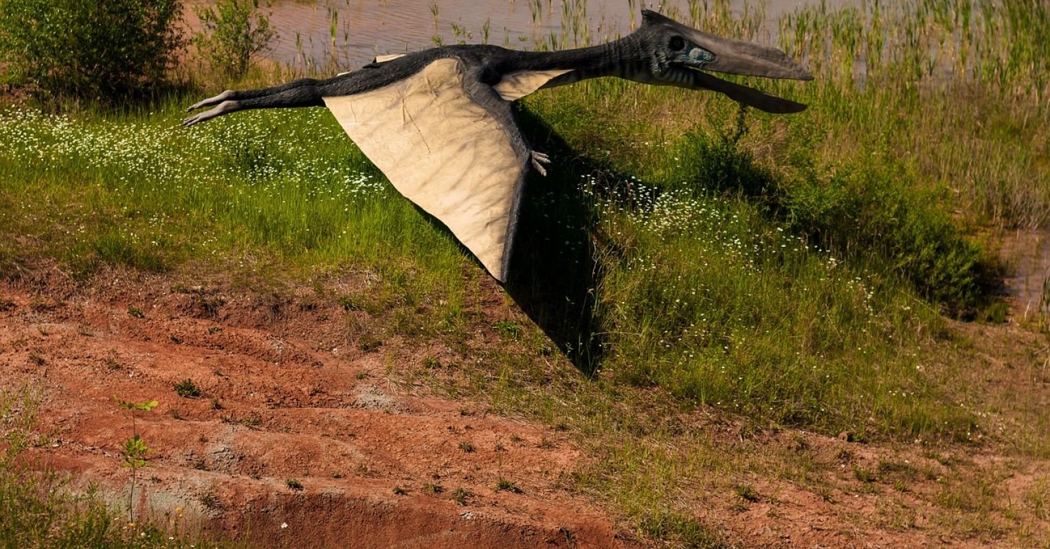 Memory, the Mandela Outcome, and Pterodactyls of the Intellect