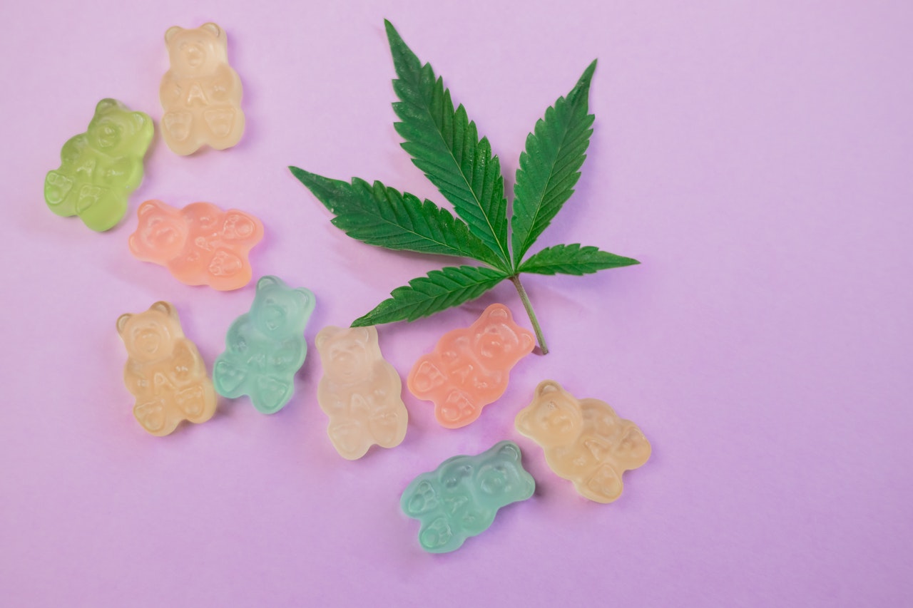 Seasonal CBD Edibles: Great for Vacations and Celebrations