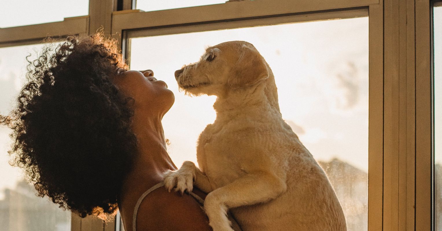 Does Pet Ownership Enable or Hurt Your Properly-Staying?